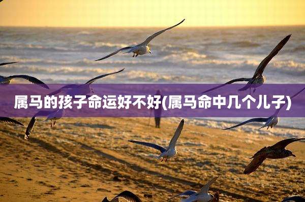 属马的孩子命运好不好(属马命中几个儿子)