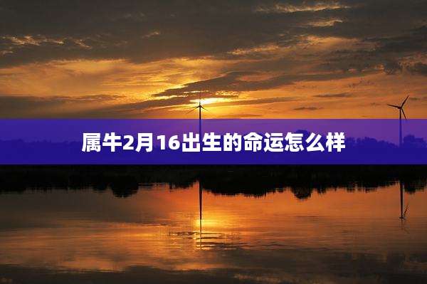 属牛2月16出生的命运怎么样