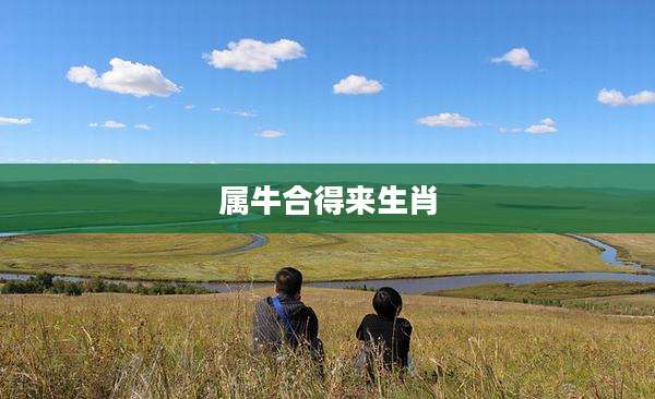 属牛合得来生肖