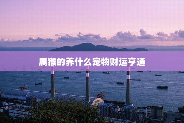 属猴的养什么宠物财运亨通