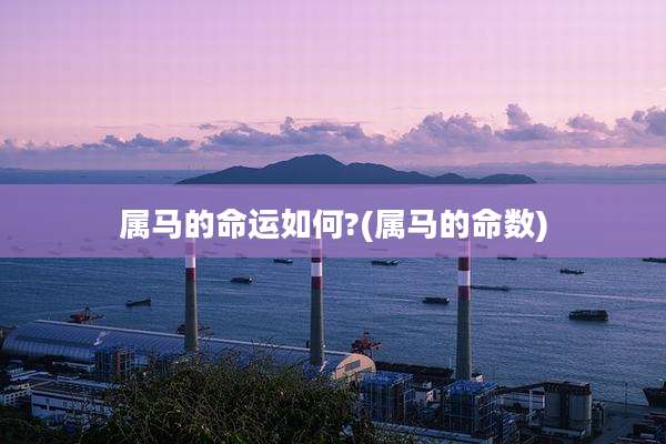 属马的命运如何?(属马的命数)
