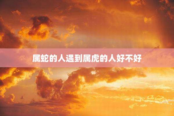 属蛇的人遇到属虎的人好不好