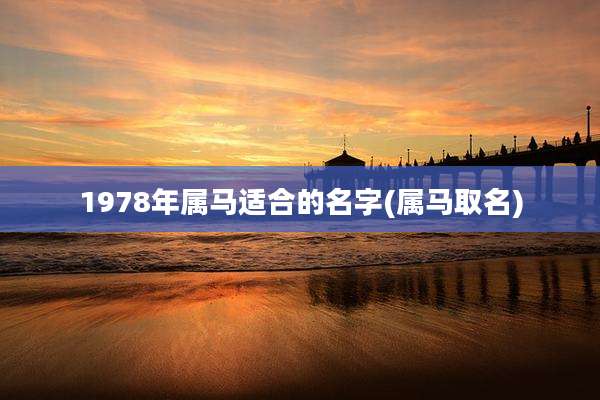 1978年属马适合的名字(属马取名)