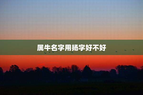 属牛名字用扬字好不好