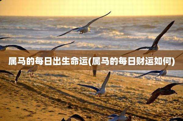 属马的每日出生命运(属马的每日财运如何)
