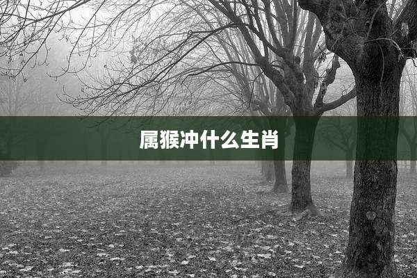 属猴冲什么生肖