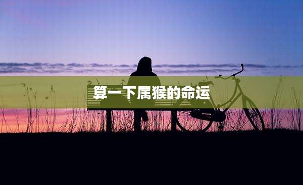 算一下属猴的命运