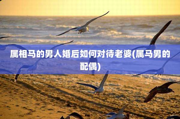 属相马的男人婚后如何对待老婆(属马男的配偶)