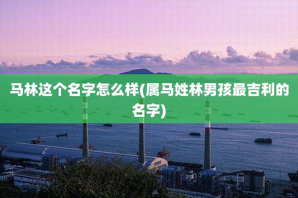 马林这个名字怎么样(属马姓林男孩最吉利的名字)
