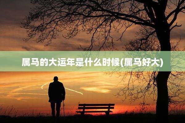 属马的大运年是什么时候(属马好大)
