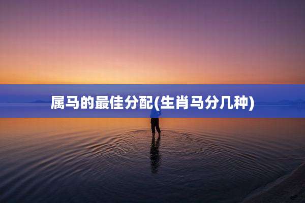 属马的最佳分配(生肖马分几种)