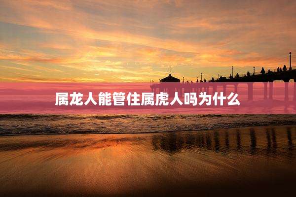 属龙人能管住属虎人吗为什么