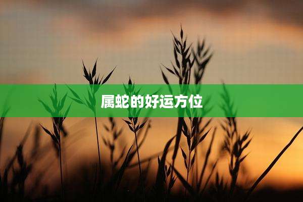 属蛇的好运方位