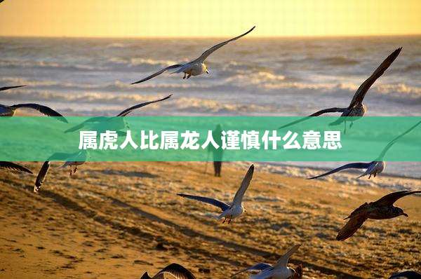 属虎人比属龙人谨慎什么意思