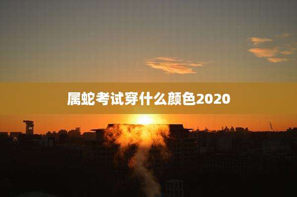 属蛇考试穿什么颜色2020