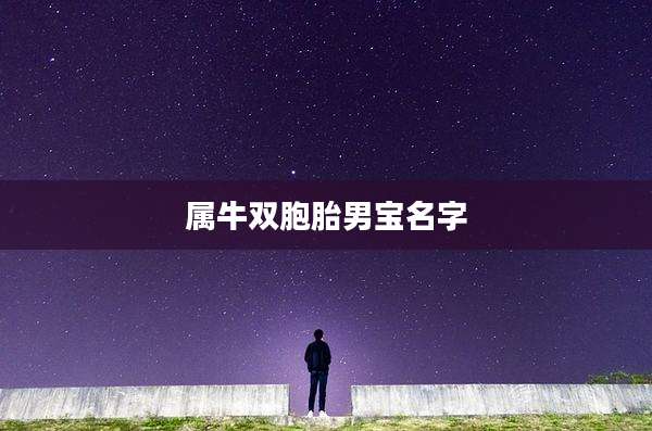 属牛双胞胎男宝名字