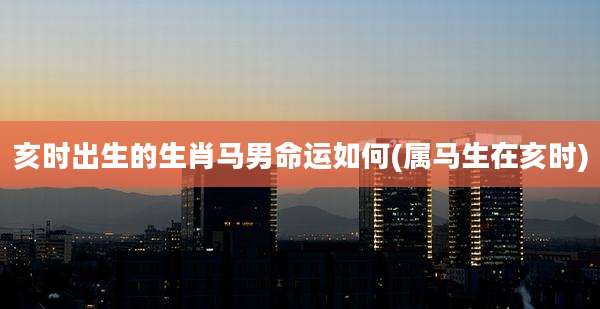 亥时出生的生肖马男命运如何(属马生在亥时)