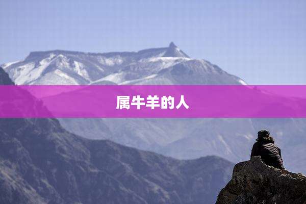 属牛羊的人