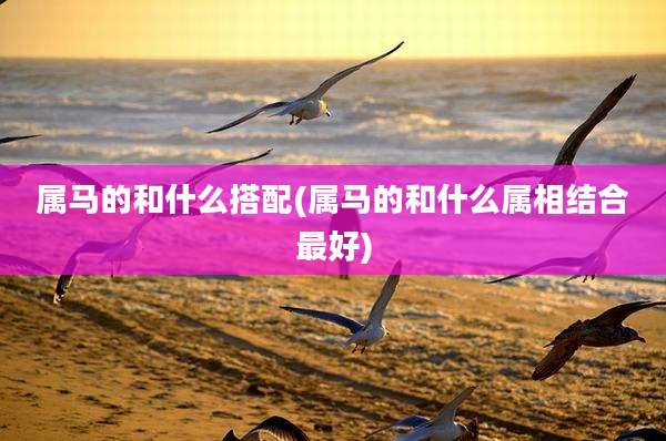 属马的和什么搭配(属马的和什么属相结合最好)
