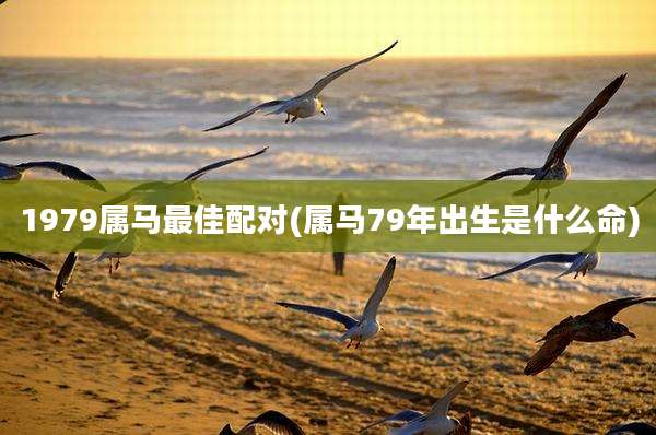 1979属马最佳配对(属马79年出生是什么命)