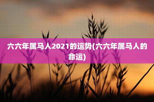 六六年属马人2021的运势(六六年属马人的命运)