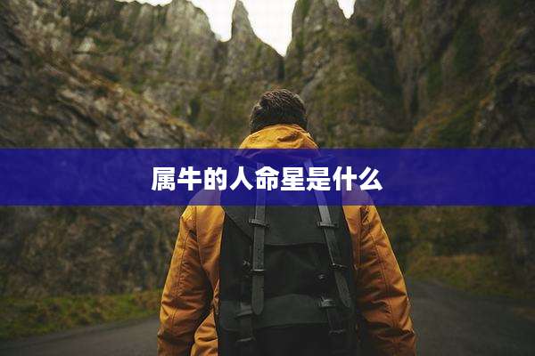 属牛的人命星是什么