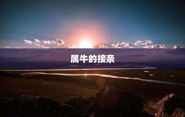 属牛的接亲