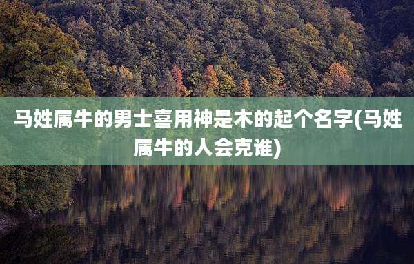 马姓属牛的男士喜用神是木的起个名字(马姓属牛的人会克谁)
