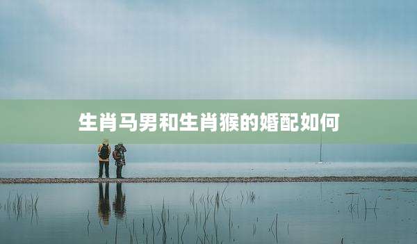 生肖马男和生肖猴的婚配如何
