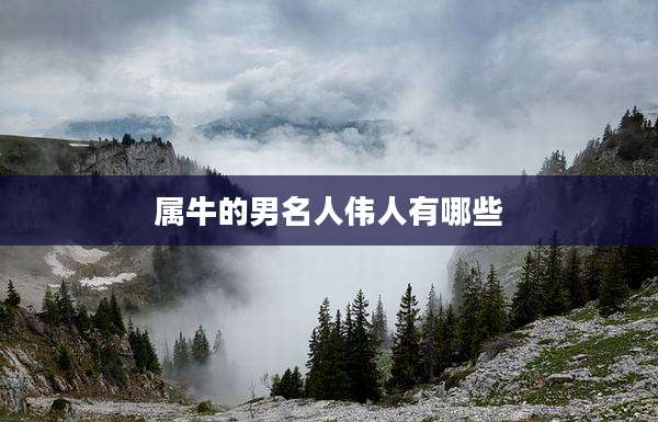属牛的男名人伟人有哪些