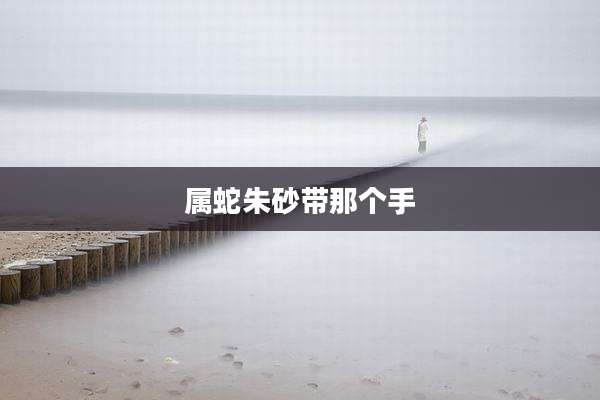 属蛇朱砂带那个手