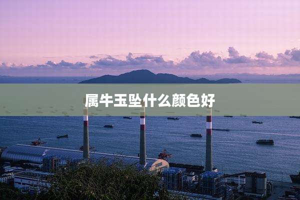 属牛玉坠什么颜色好