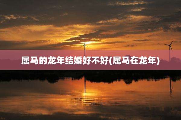 属马的龙年结婚好不好(属马在龙年)