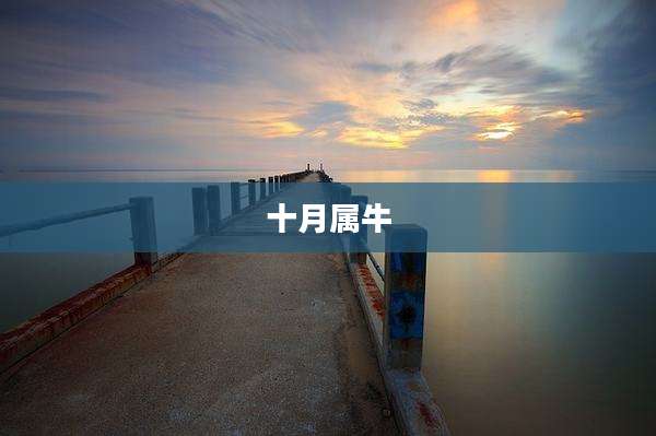 十月属牛