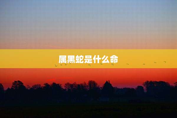 属黑蛇是什么命