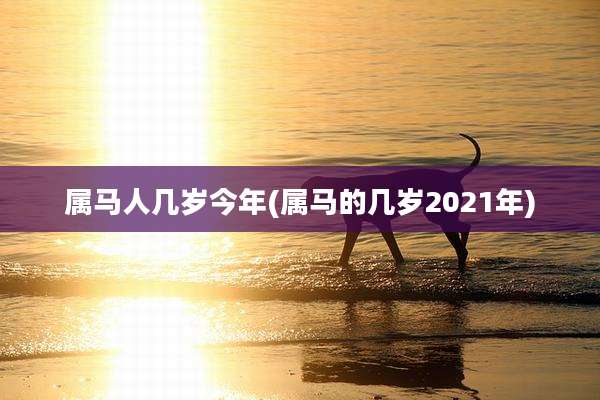 属马人几岁今年(属马的几岁2021年)