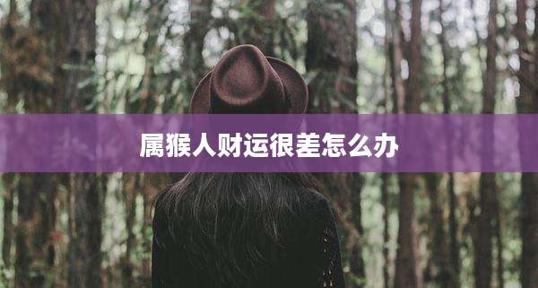 属猴人财运很差怎么办