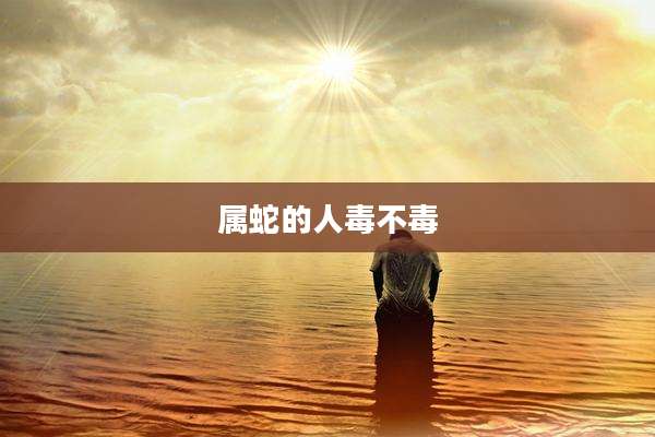 属蛇的人毒不毒