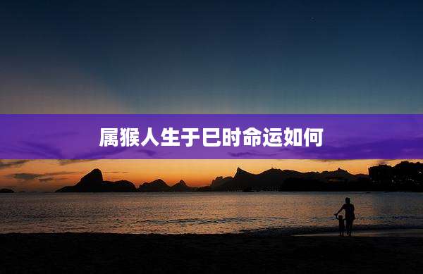 属猴人生于巳时命运如何