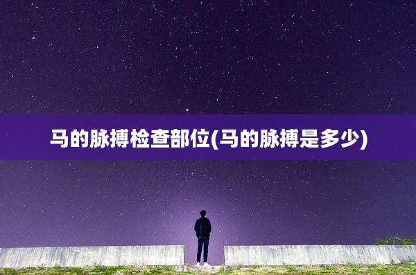 马的脉搏检查部位(马的脉搏是多少)