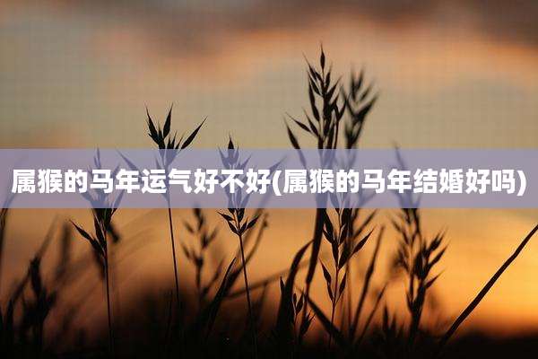 属猴的马年运气好不好(属猴的马年结婚好吗)