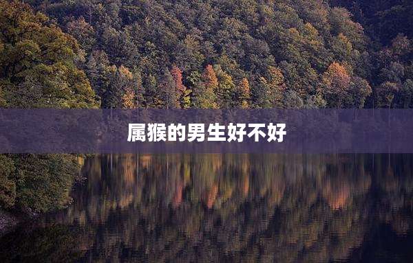 属猴的男生好不好