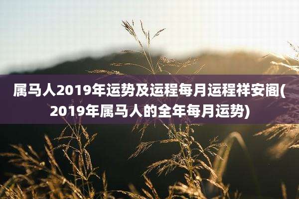 属马人2019年运势及运程每月运程祥安阁(2019年属马人的全年每月运势)