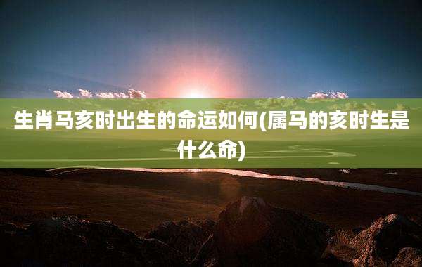 生肖马亥时出生的命运如何(属马的亥时生是什么命)