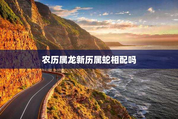 农历属龙新历属蛇相配吗