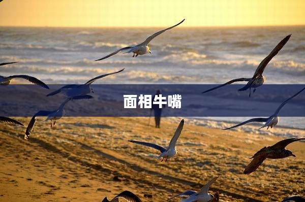 面相牛嘴
