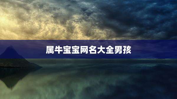 属牛宝宝网名大全男孩