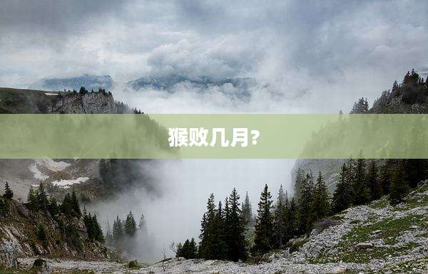 猴败几月?