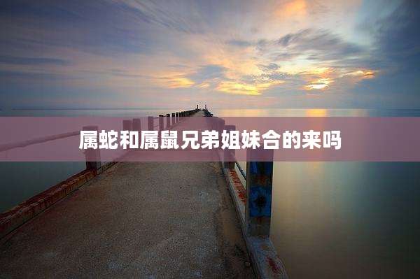 属蛇和属鼠兄弟姐妹合的来吗