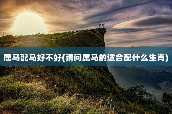 属马配马好不好(请问属马的适合配什么生肖)